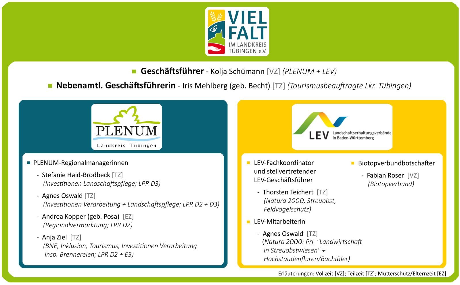 Struktrur der VIELFALT-Geschäftsstelle