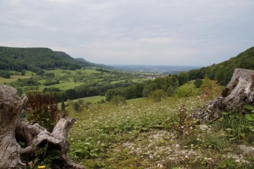 Blick vom Mössinger Bergsturz über Albtrauf und Steinlachtal
