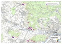 Lageplan der geschützten Biotope in Reblagen bei Unterjesingen, Hirschau, Wurmlingen und Breitenholz