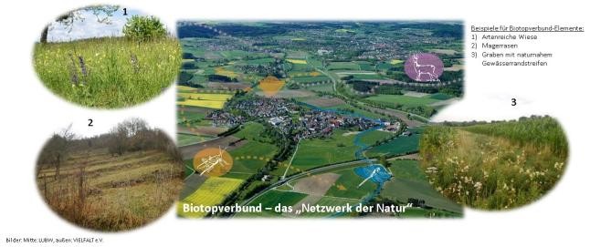 Biotopverbund - das "Netzwerk der Natur" © VIELFALT e.V.